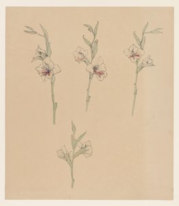 Bloemstudies door Julie de Graag