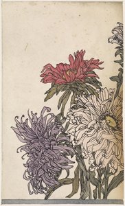 Chrysanten