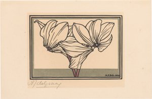 Cyclamen
