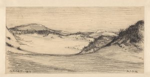 Duinlandschap bij Groet