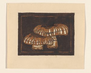 Twee paddenstoelen door Julie de Graag