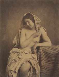 Studie naar de natuur, ca. 1853-1855 door Julien Vallou de Villeneuve