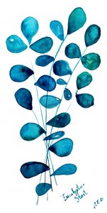 Blauwe eucalyptusbladeren door Julija Belickienė