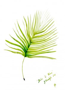 Aquarel van een groen palmblad