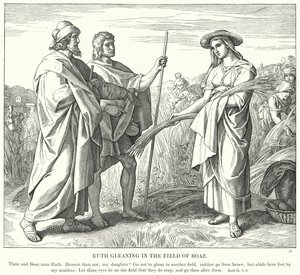 Ruth Leest in het Veld van Boaz (gravure) door Julius (after) Schnorr von Carolsfeld