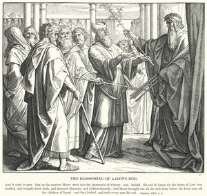 Het Bloeien van Aärons Staf (gravure)