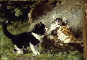 Is er nog plaats in de mand? door Julius Adam