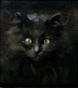 Portret van een kat door Julius Adam
