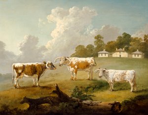 Drie Langhoornige Runderen in Landschap door Julius Caesar Ibbetson