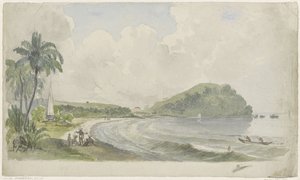 Tropisch kustlandschap