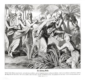 Mozes wordt ontdekt in het riet, Exodus door Julius Schnorr von Carolsfeld