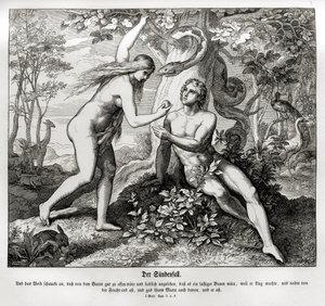 De val, Genesis door Julius Schnorr von Carolsfeld