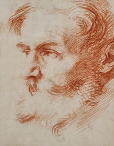 Hoofd van een bebaarde man door Jusepe de Ribera