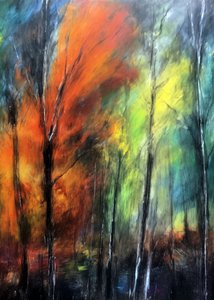 Kleurrijk herfstbos