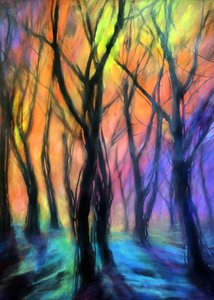 Lichtjes in het betoverde bos
