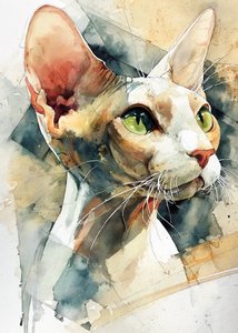 Sphynx-kat met groene ogen
