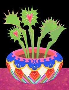 Vleesetende Planten in een Pot