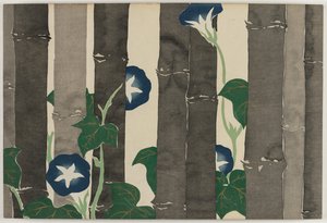 Bloemen van honderd werelden (Momoyogusa): Winde (Asagao)
