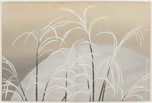 Bloemen van Honderd Werelden: Susuki Gras in Maanlicht
