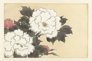 Pioenen door Kamisaka Sekka