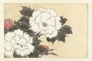 Pioenrozen door Kamisaka Sekka