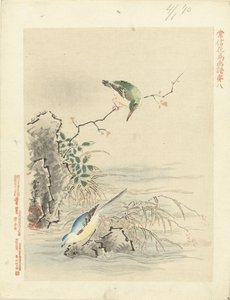 IJsvogel kijkend naar vogel bij water door Kano Tsunenobu