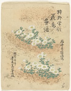 Inhoudsopgave Bloemen- en vogelschetsen van Kano Tsunenobu (serie titel) Kano Tsunenobu kacho gafu (serie titel op object) door Kano Tsunenobu