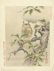 Uil op tak door Kano Tsunenobu