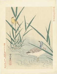Watervogel kijkend naar gele zangvogel door Kano Tsunenobu