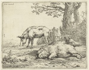 Drie zwijnen bij een heg door Karel Du Jardin