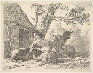 Vier schapen, een schaap staat tussen drie anderen die op de grond liggen naast een schuur, 1658