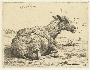 Liggend schaap met vliegen door Karel Du Jardin