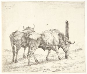 De twee ossen door Karel Du Jardin