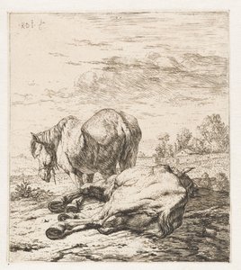 Twee paarden (Dieren) door Karel Du Jardin