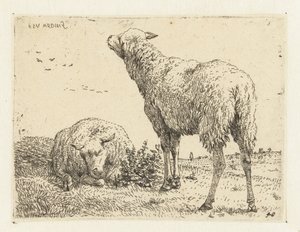 Twee schapen door Karel Du Jardin