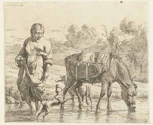 Vrouw en ezel staan in ondiep water, een hond springt op voor haar voeten