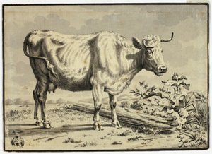 Koe door Karel Dujardin