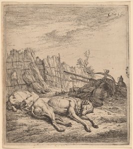 Jachthonden door Karel Dujardin