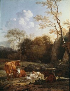 Het dierenbos bij een stroom