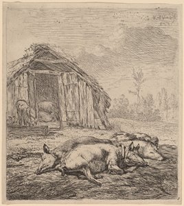 Drie varkens door Karel Dujardin