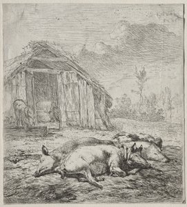 Drie Varkens Liggend voor een Stal door Karel Dujardin