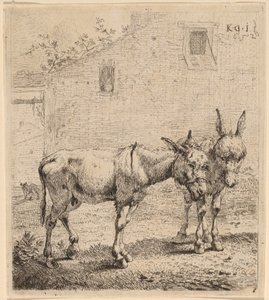 Twee Ezelinnen
