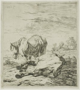 Twee Paarden