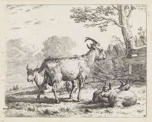  door Karel Dujardin