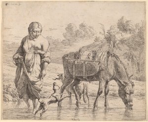 Vrouw die een Stroom Oversteekt
