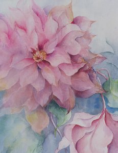 Clematis Vyvyan Penell door Karen Armitage