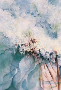 Sering, Maud Norcut