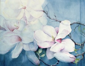 Magnolia Soulangeana (horizontaal) door Karen Armitage