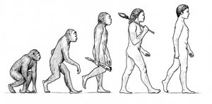 Evolutie van de mens