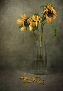  door Karen Smalley